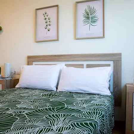 El Tajaraste * 이코드레로스비노스