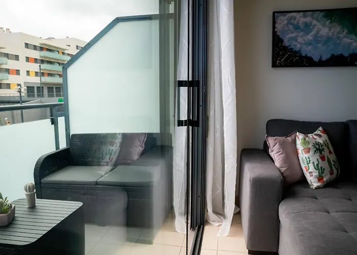 El Tajaraste * 이코드레로스비노스