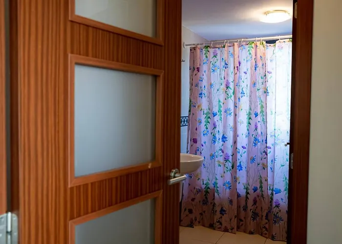 El Tajaraste 이코드레로스비노스