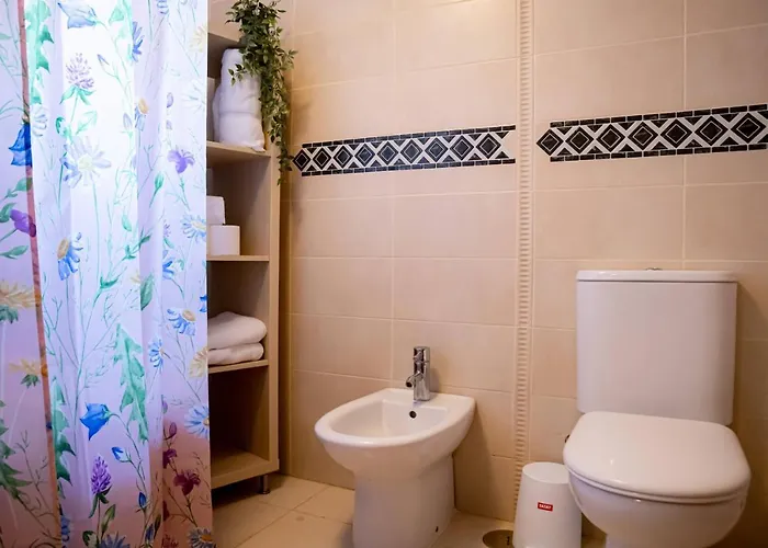 El Tajaraste 이코드레로스비노스